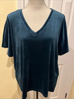 LOFT Teal Velvet V-Neck Short Sleeve Top